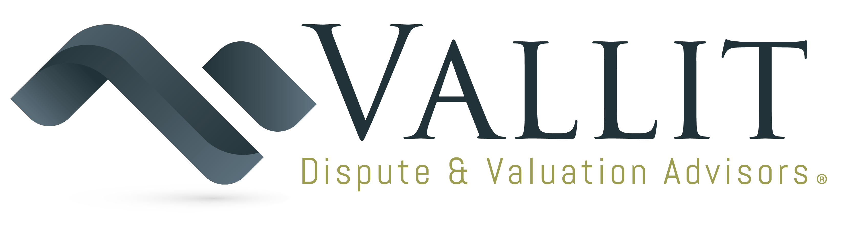 Vallit_Logo_Full_Round2